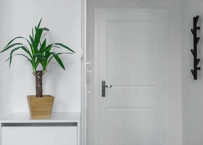 아파트호텔 Platinum